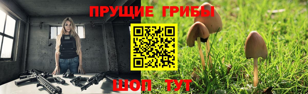 Галлюциногенные грибы прущие грибы  Вход с VPN  Галлюциногенные грибы MAGIC MUSHROOMS  Дубна 